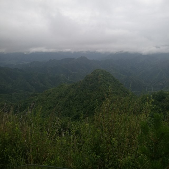 会更好