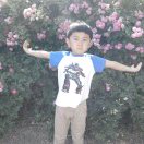 wang.juanjuan