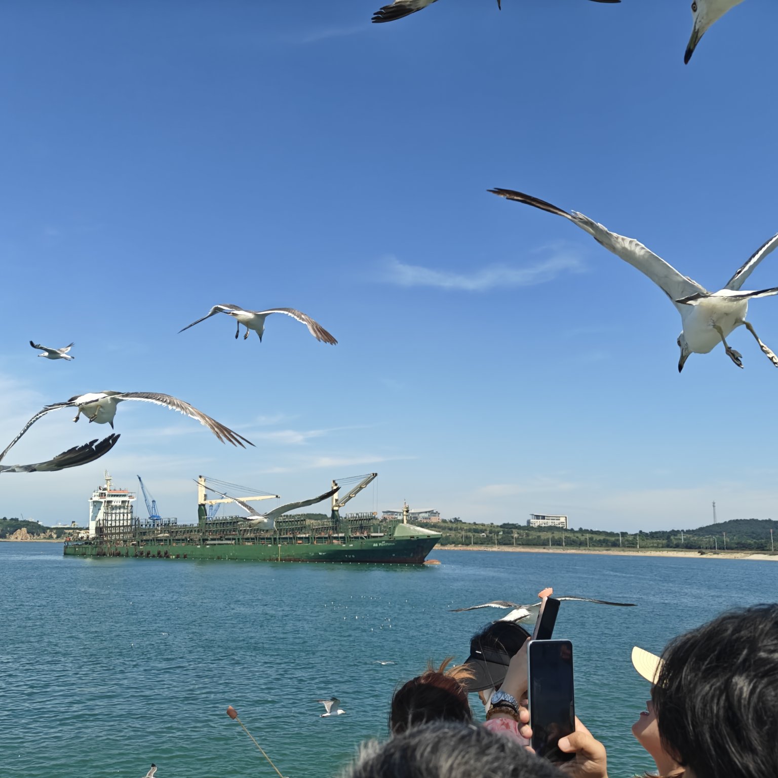 在轻卡里面，我的东风多利卡算是保有量多的货车了。路上随处可见，足以证明他的口碑。能拉能跑，皮实耐用