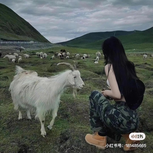 湖南卡友xqznbs